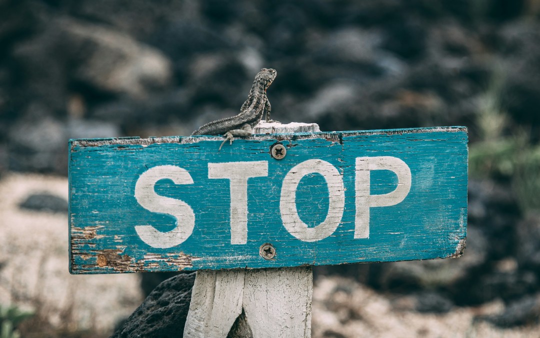 50 Señales para determinar si tu Pareja es Narcisista